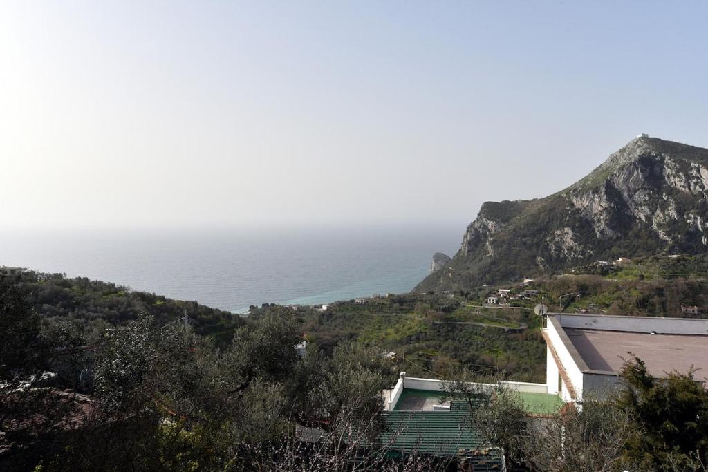 The Roses House, Fondo San Vito - 2