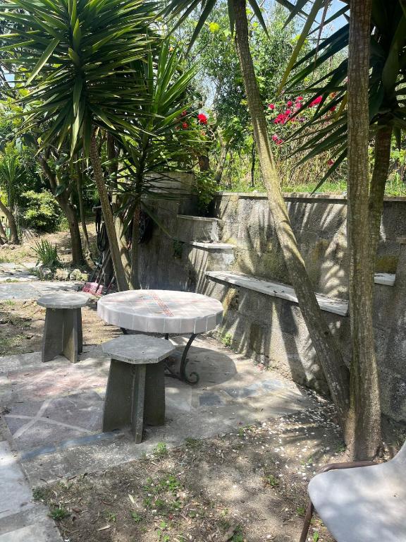The Roses House, Fondo San Vito - 5