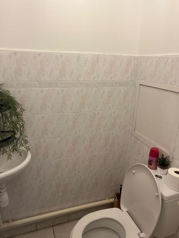 Large cozy apartment and good location in Grenoble - 4