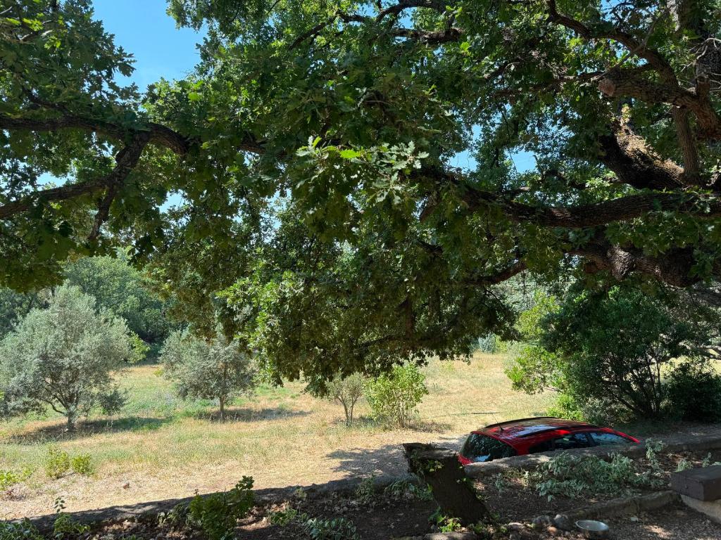 L'Ensoleillade - Maison de campagne avec grand jardin arboré à 5 min d'Aix - 2