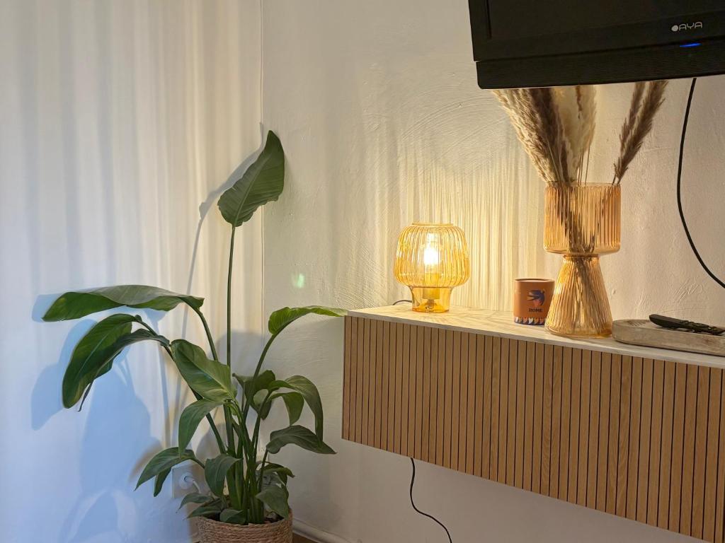 Studio moderne avec jardin à 500 m de la mer - 5