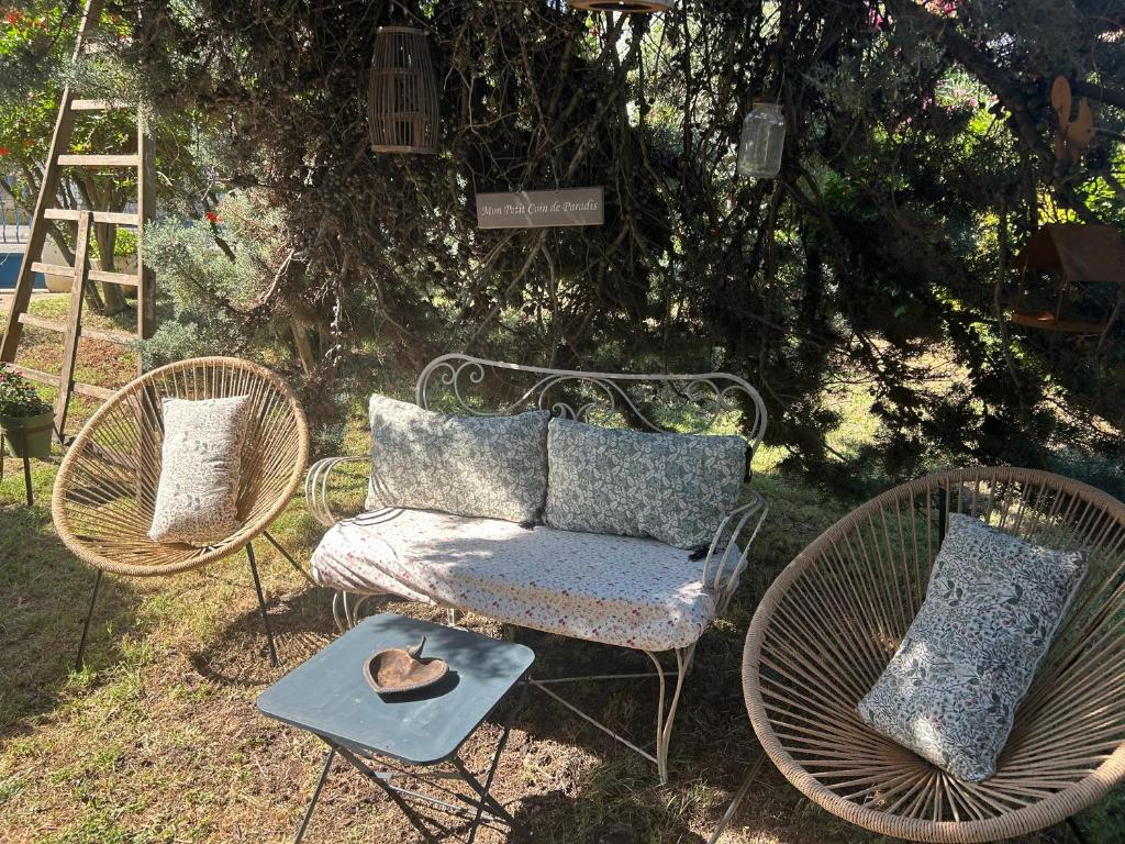 Chambre charmante avec jardin - 3