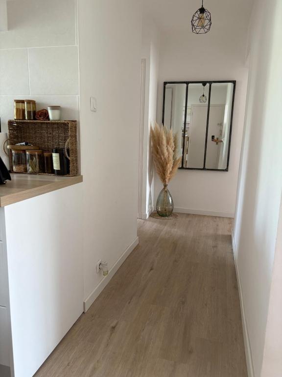Appartement refait à neuf tout à pied - 2