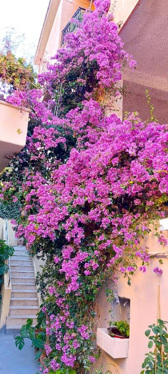 Elisa e Carla House Beautiful apartments on the Cassia - 3