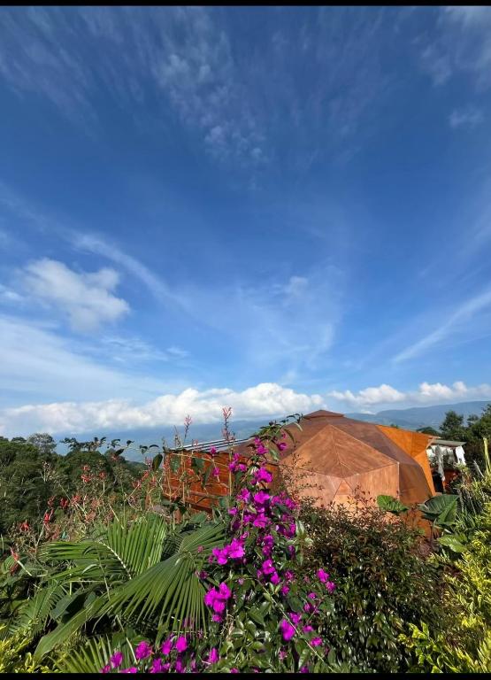Imperios Glamping - 4