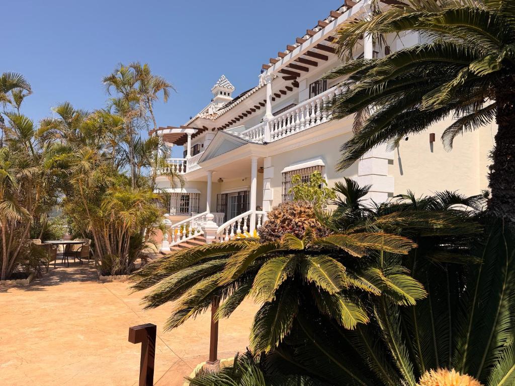 CASABA - Boutique - Torre del Mar - 4