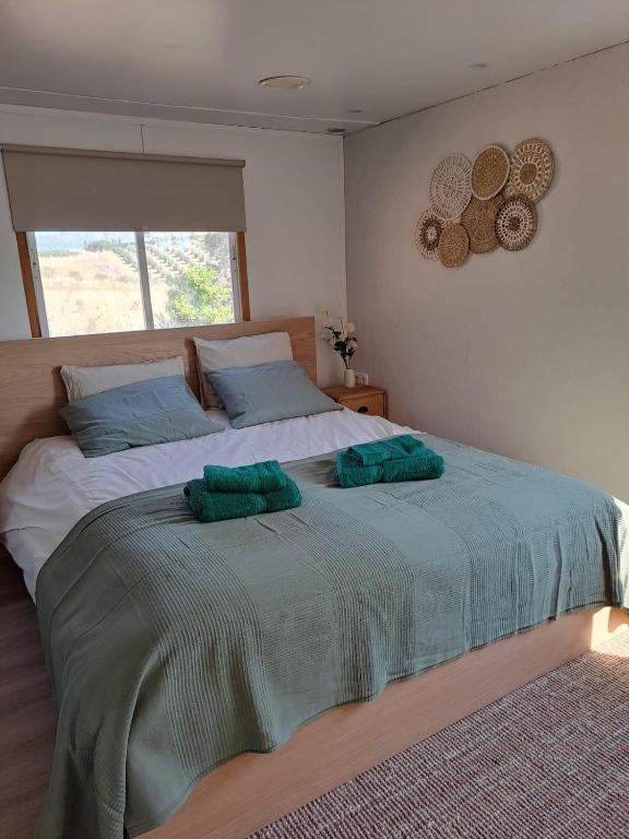 B&B Finca Miravista - 4