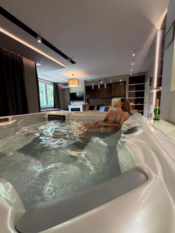 Spa Pleasure Apartman - 1