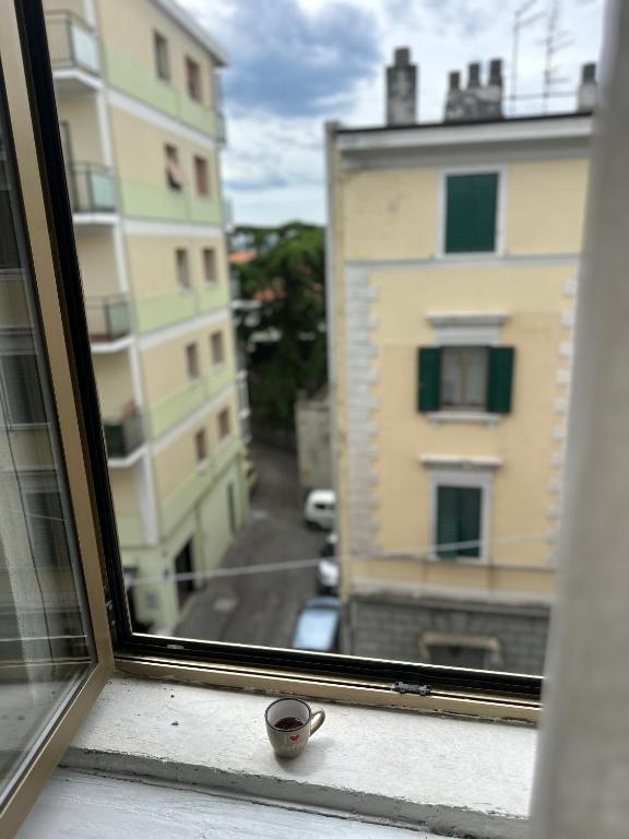 Ciao Noce Trieste - 3