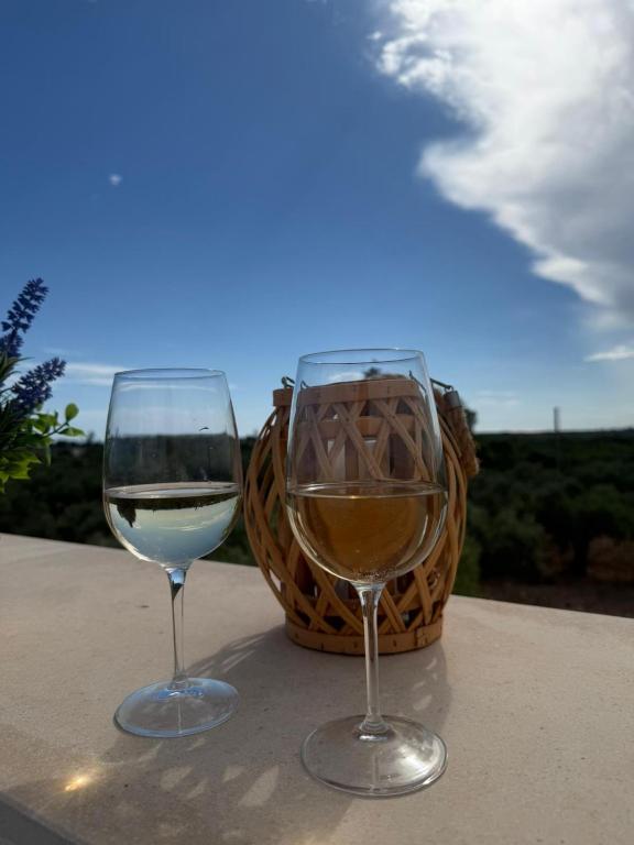 Casa Vacanze - Uliveto - 2