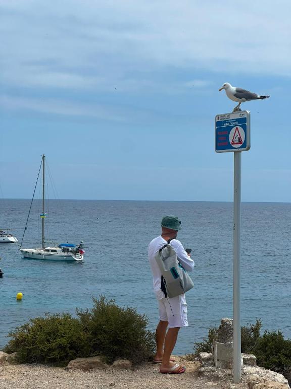 Secret of the Ibiza - 1