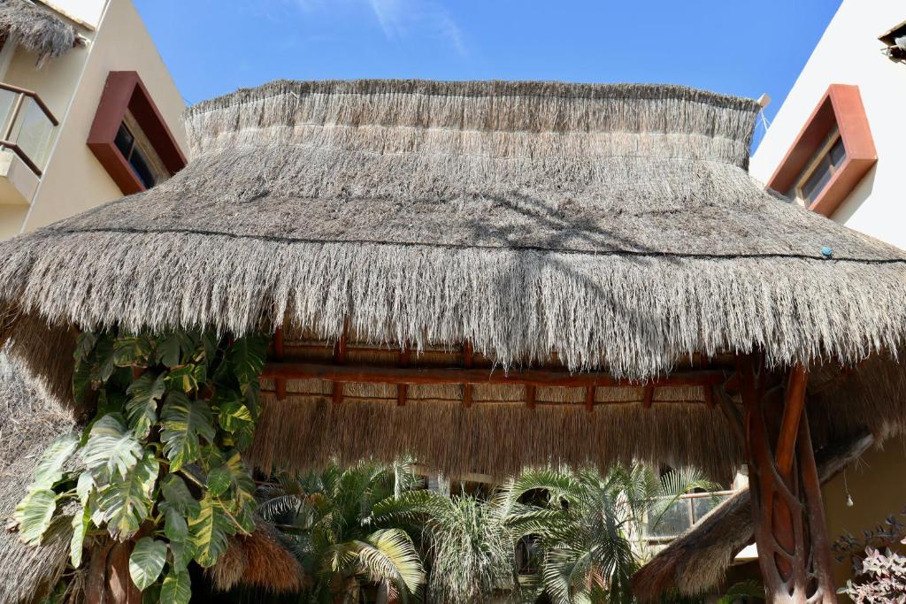 Jardín del Mar by ÓOL Hotels - 3