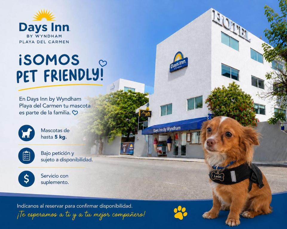 Days Inn by Wyndham Playa del Carmen - 3