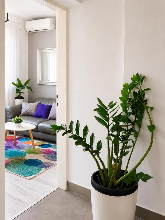 Haustor City Apartment 1 - 3