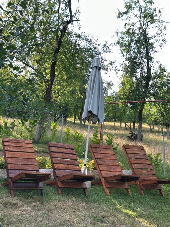 Vikendica Cokori - private pool and jacuzzi - 5
