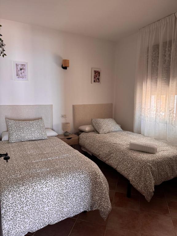 La Casa del Olivo - 4