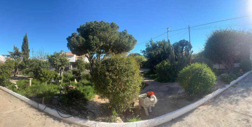 Tara Casa - 5