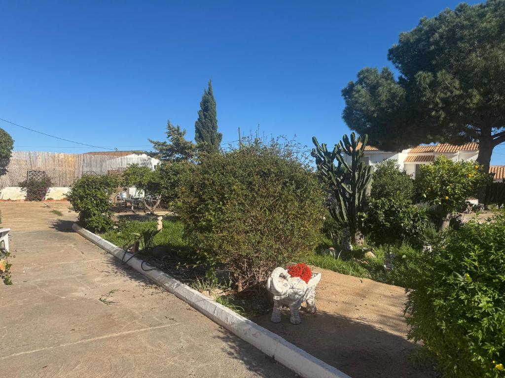 Tara Casa - 3