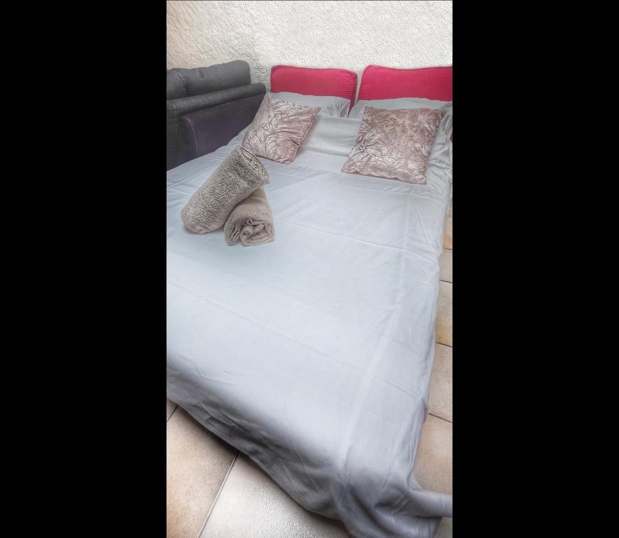 Maison avec 2 espaces separes sur 2 niveaux distincts, Montreux,Festivals,Chateaux de Chillon,FreddieMercury,Casino,lac leman plages,montagne, Pour voyageurs souhaitant partager une maison familiale et economique, 15 minutes a pied du centre en descente - 2