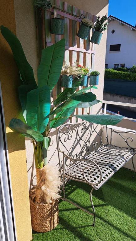 Cosy appartement situé à 500 mètres du centre thermal - 2
