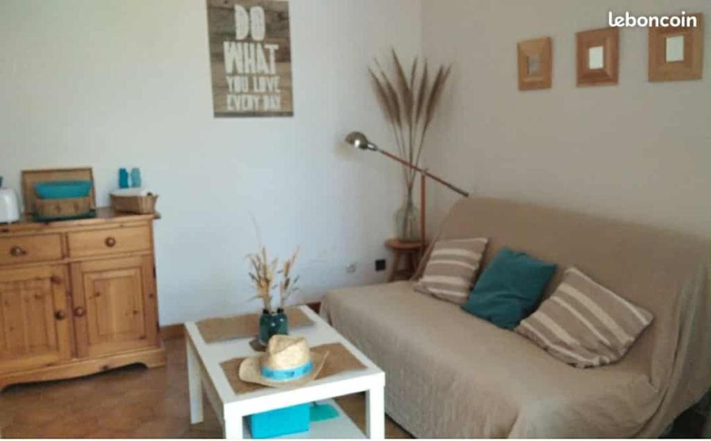 Studio cabine jardin - 4
