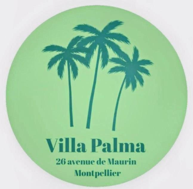 Villa Palma, grande chambre indépendante avec sdb et kitchenette dans maison de charme en centre ville - 2