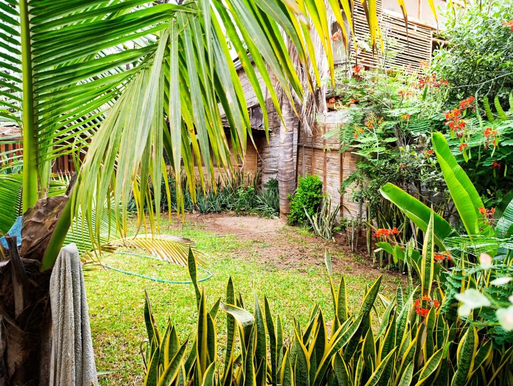 Guayobungalows - 1