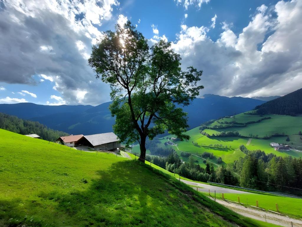 Garmesegghof - 4
