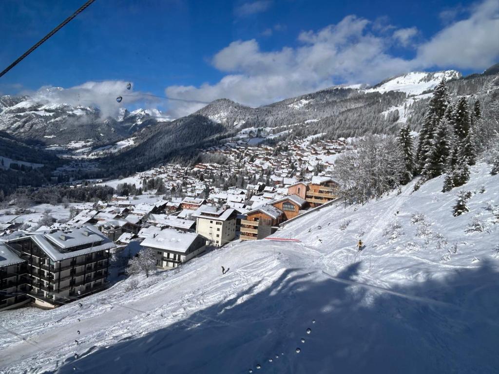 Appartement sur les pistes de ski - 1