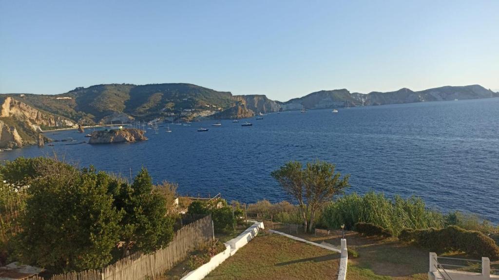 AzzurroMare Ponza Rooms Sea View by Caseaponza it - 3