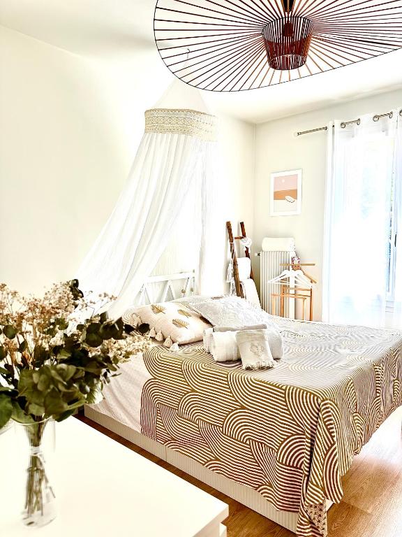 Superbe Chambre Privée Centre-ville Parking Clim Grand appartement Calme Luxe - 5