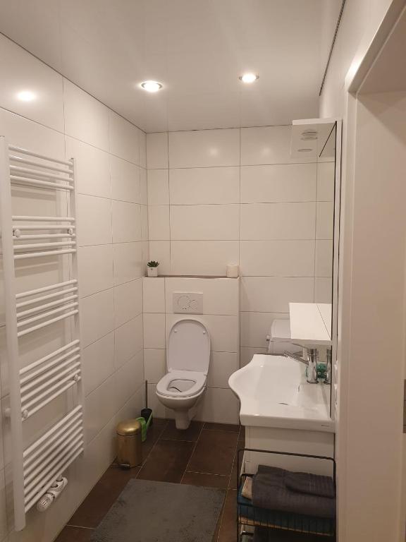 Ruhige 80 m2 Duplexwohnung mit Garten, 2 Bädern und Parkplatz nahe Innenstadt - 3