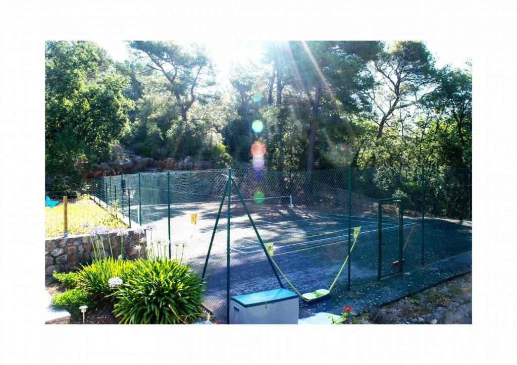 Etoilevacances gites Tournesol en Olive - 5
