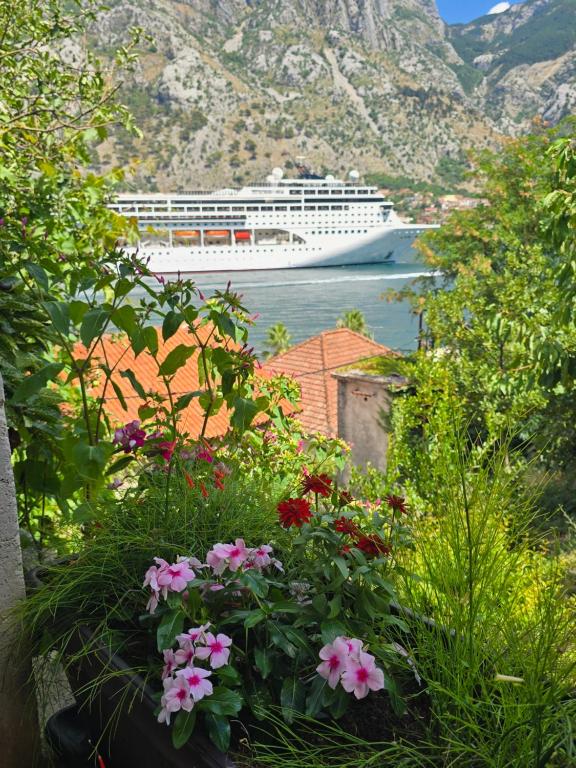 Apartman Jelena - 4