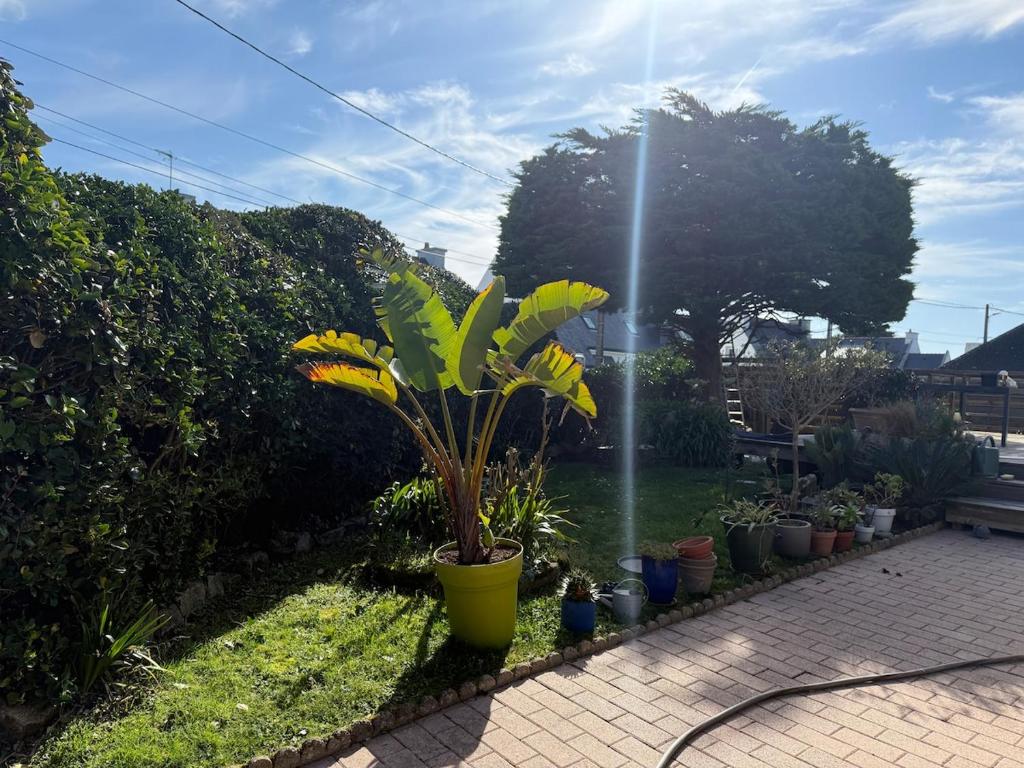 Spacious and comfortable home near beaches - 4