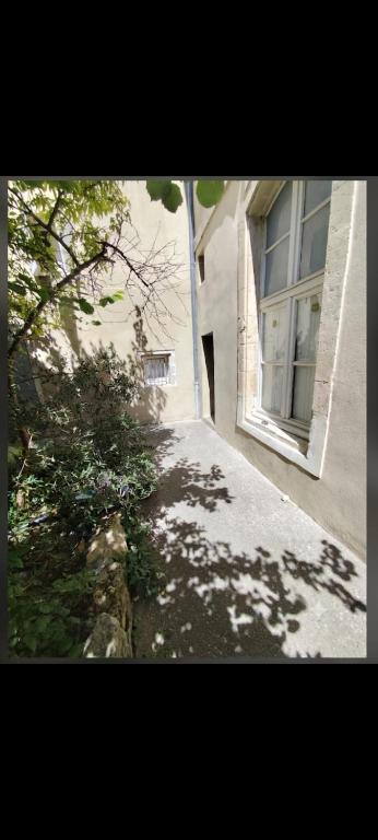 2ndGarden - 5