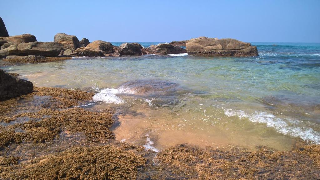 Villa crocodile beach photo