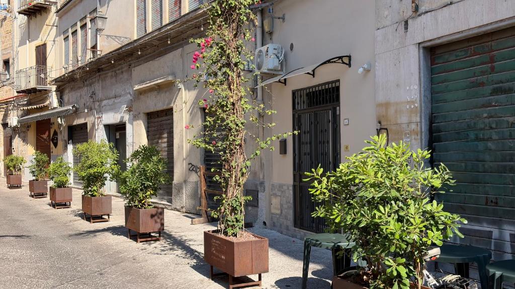 LOFT-Civico 86 - 2