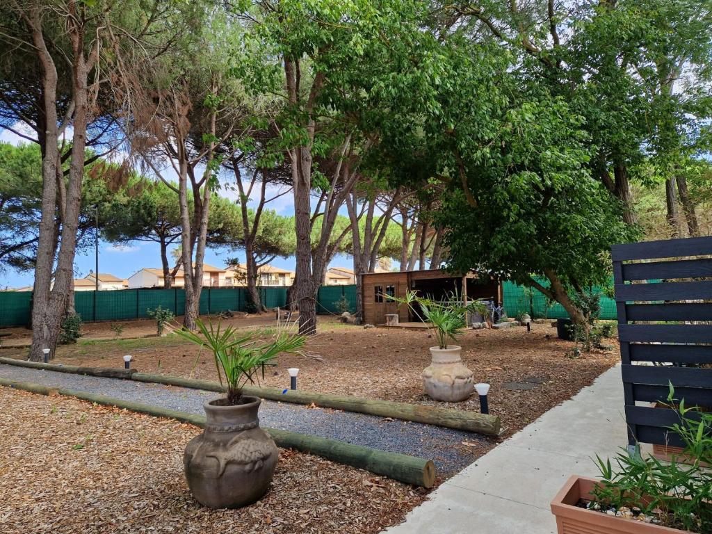 Domaine des 3 Cépages - 2