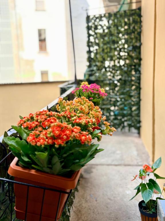 UrbanSuite Torino - 3