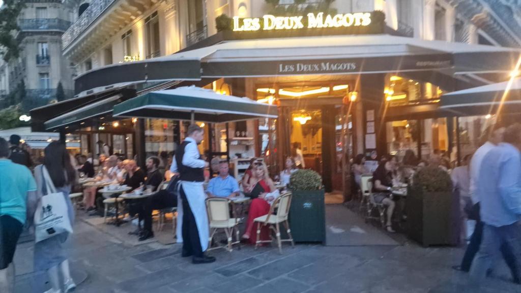 2mins gare Montparnasse ,center, exeptionnel place bd Saint Germain,5 minute Eiffé tour and Louvre meusm ,aesome place - 1