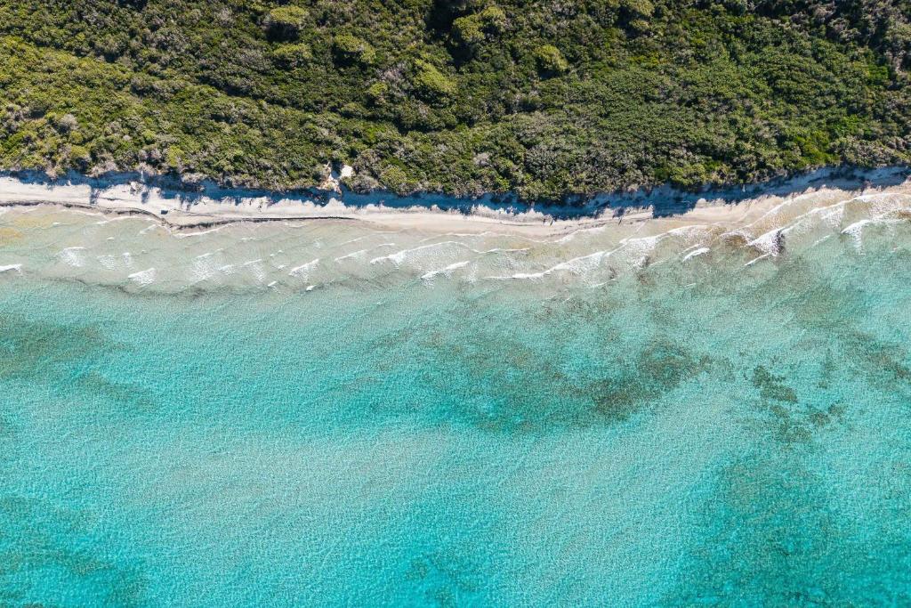 Il Contadino - Agriturismo in Salento dal 1987 - 2