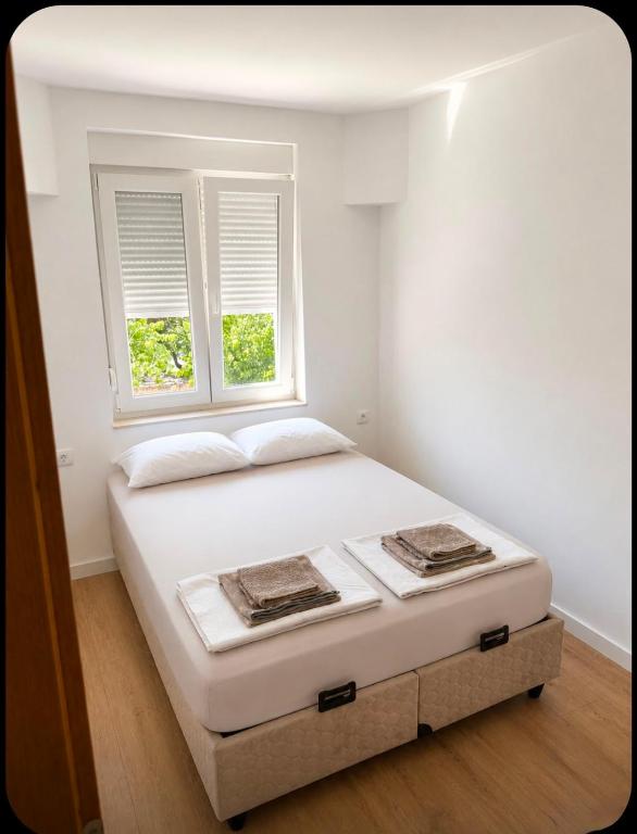 Two Bedroom Apartment - 1