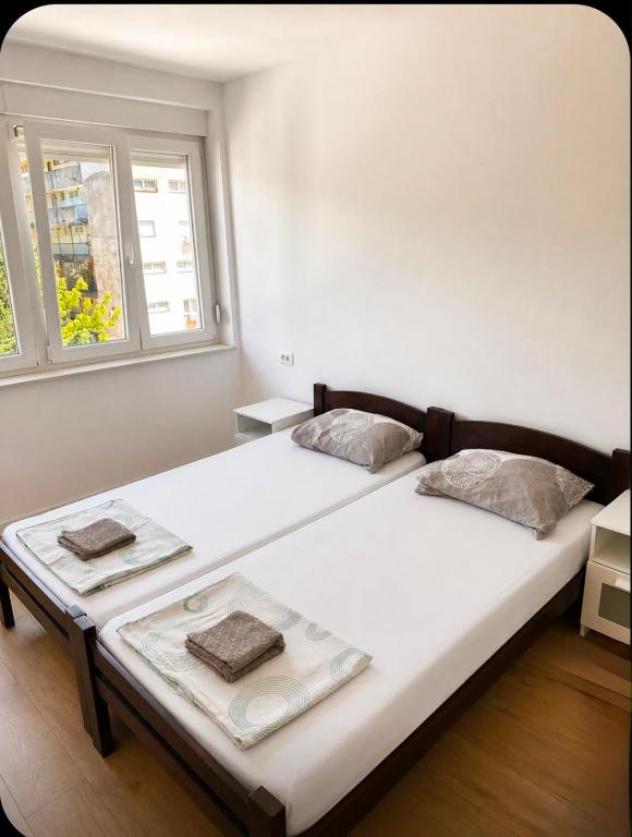 Two Bedroom Apartment - 5
