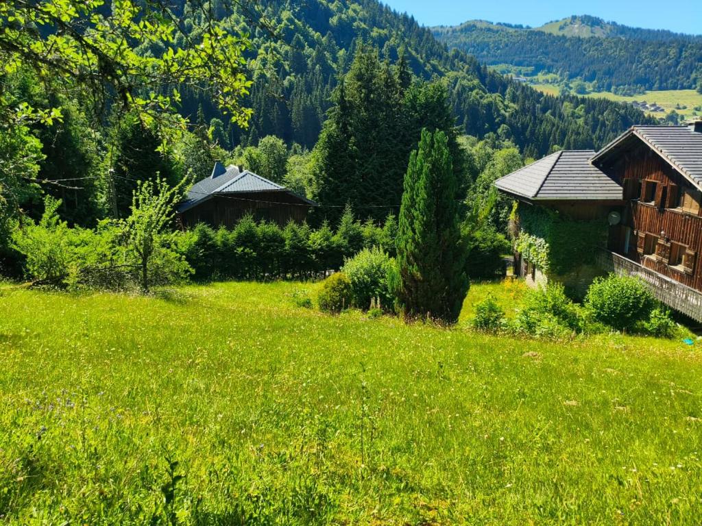 Alpine Chalet with Mountain Views and Hot Tub - 2