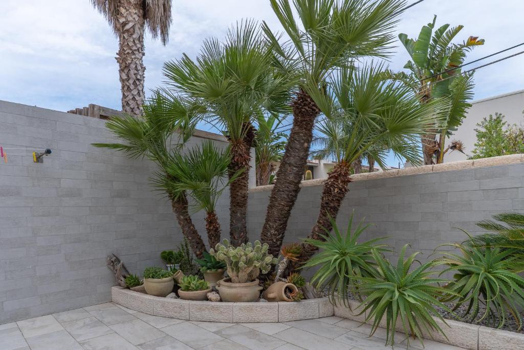 Villa Anny Fronte Mare - 4