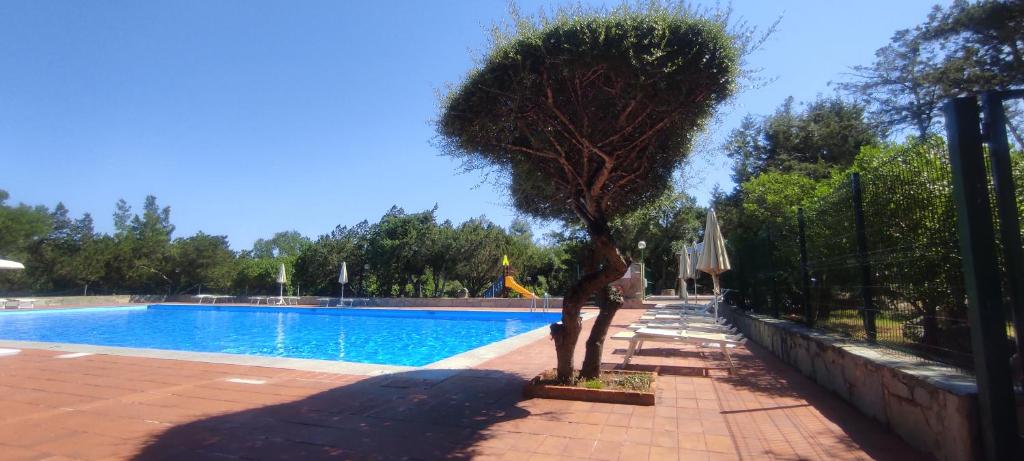 Sardinia Re - Sa Jaga Brujada 42a - 2