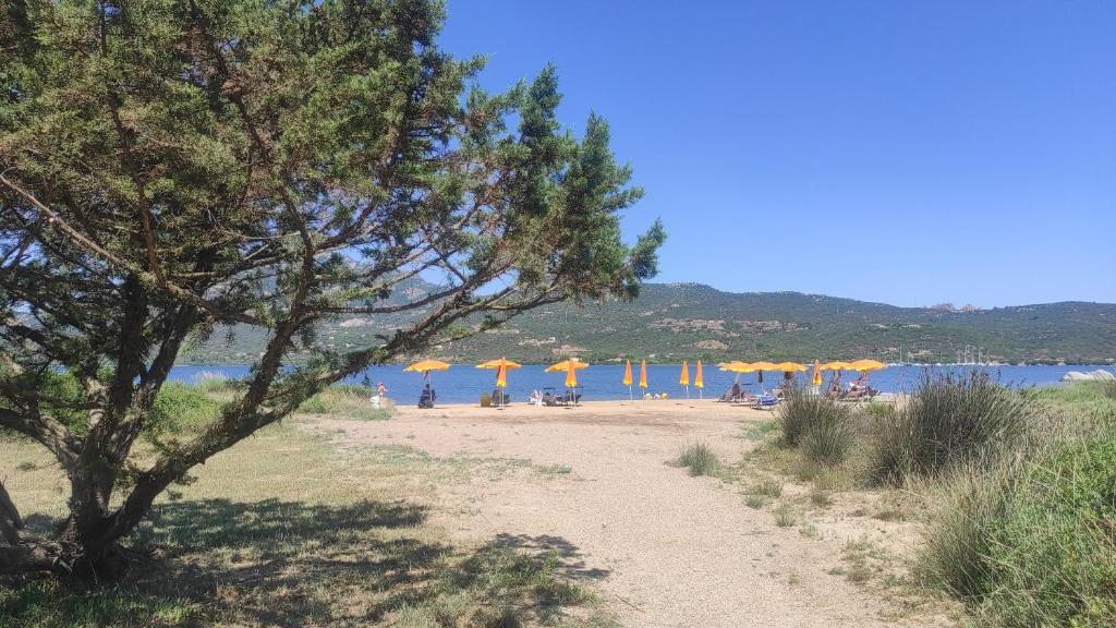 Sardinia Re - Sa Jaga Brujada 42a - 5