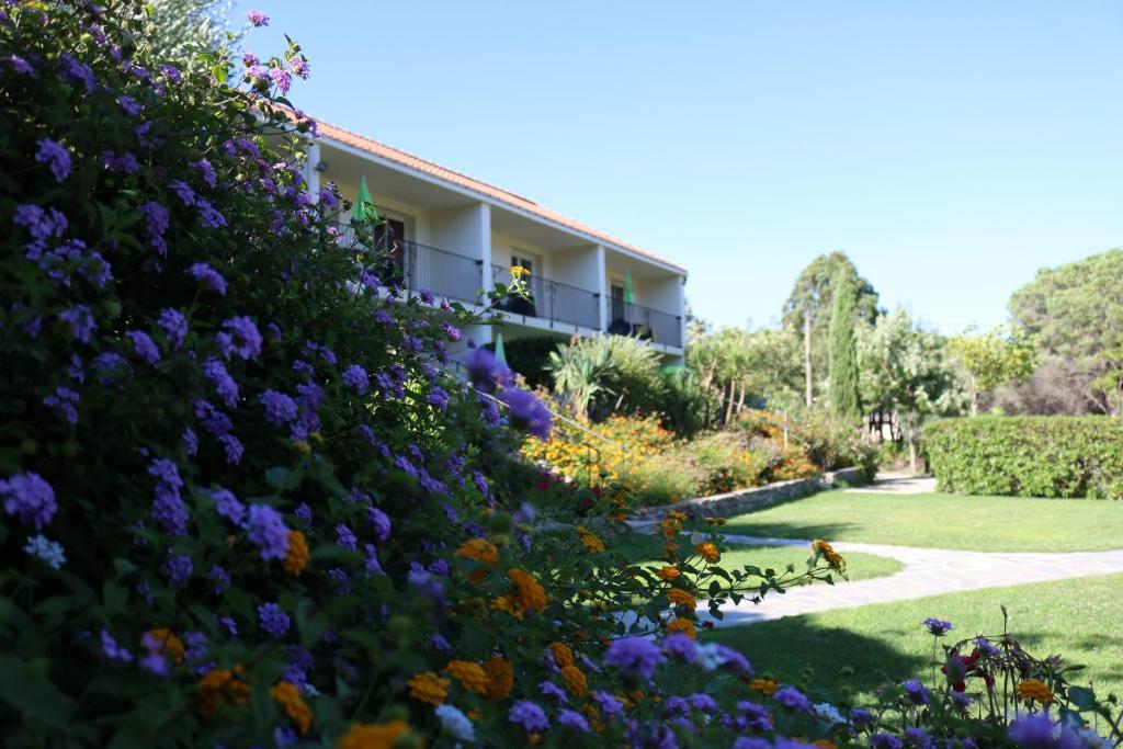 Le Home - Studio in Calvi - 1