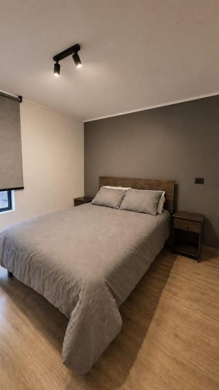 Santiago centro Excelente Apartamento Nuevo Descanso familiar - 4